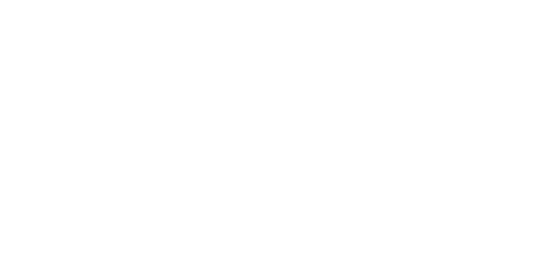 https://casinodans.com/casino/vip-spins-casino.png