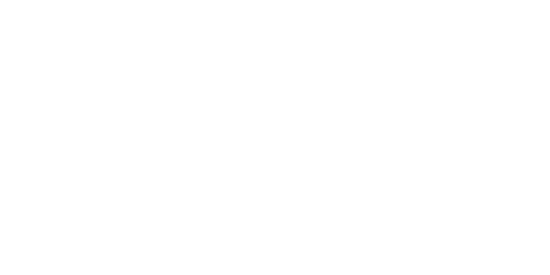 https://casinodans.com/casino/white-lion-casino.png